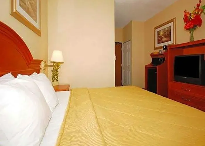 Quality & Near I-55 Hotel 3*